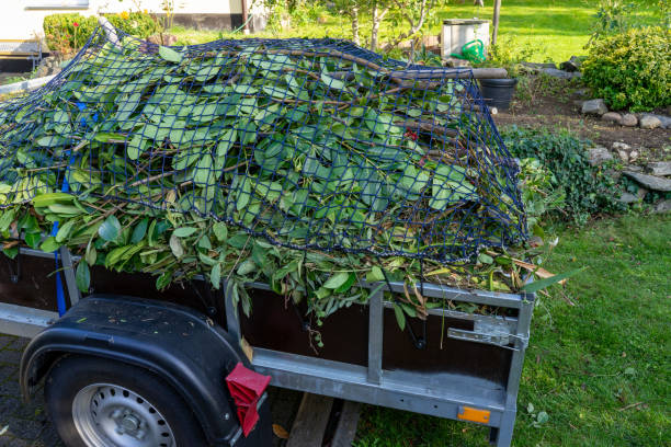 Best Moving and Downsizing Cleanouts  in Germantown, IL